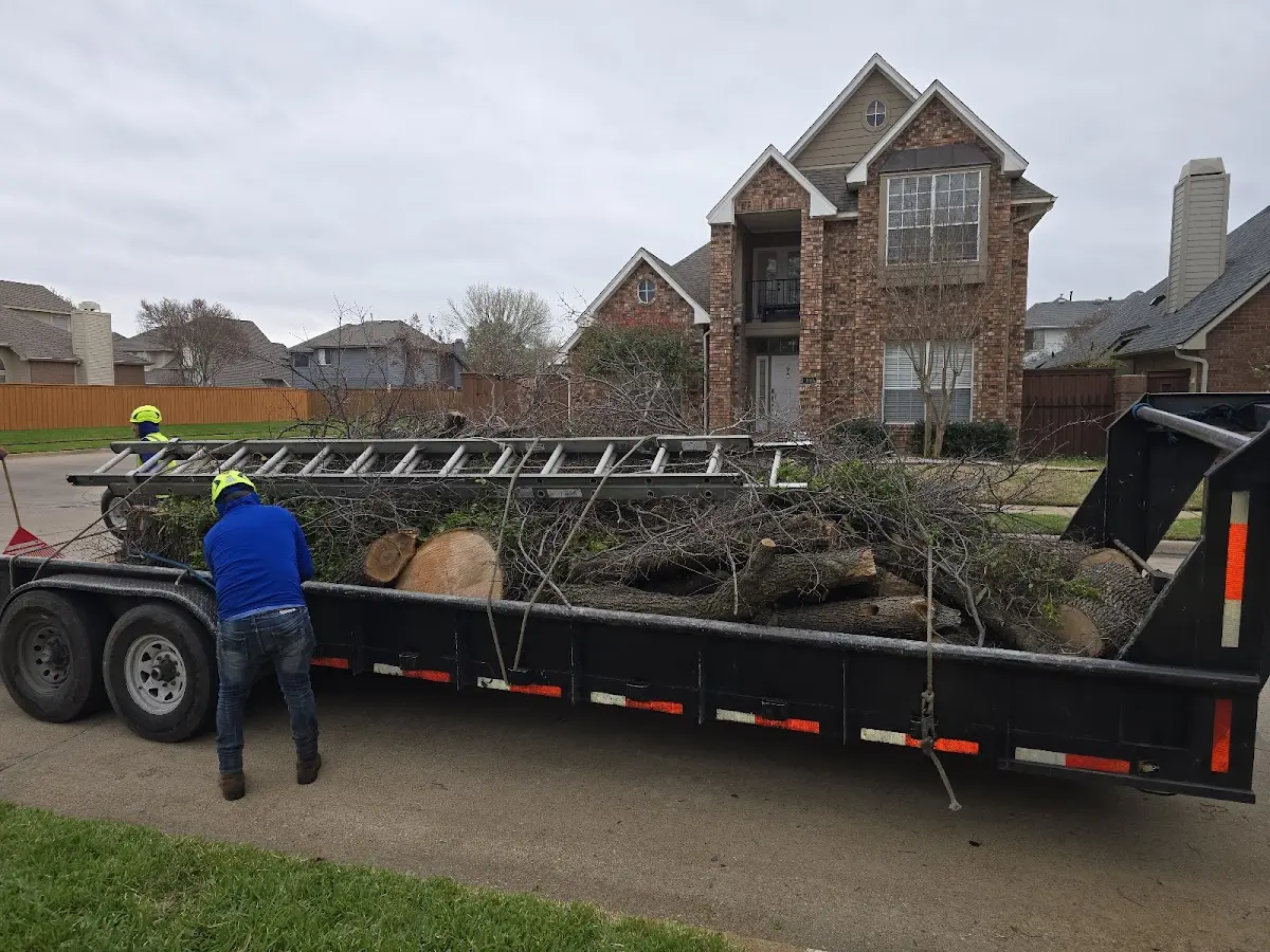 Expert Tree Fertilization with proper safety equipment in Oracle